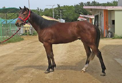 õ������ ����