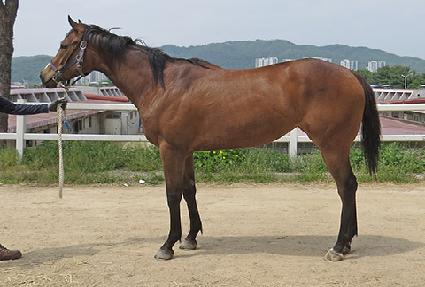 ��Ʈ�ö��� ����