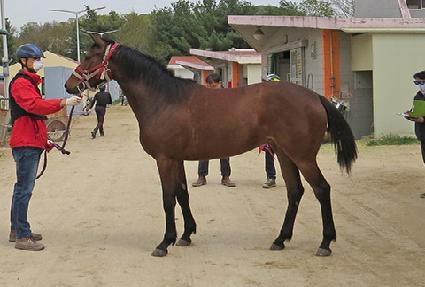 ������� ����