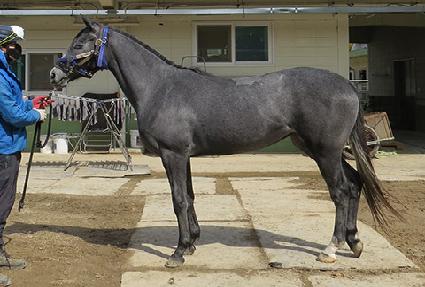 �����׷��� ����