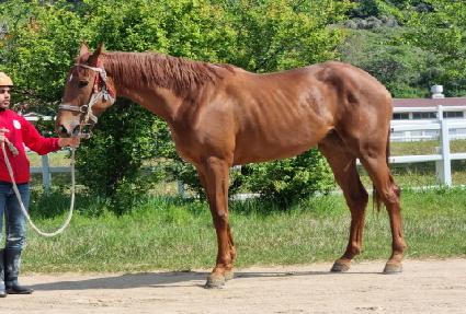 ���������� ����