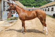 HANEULPYEONGJEONG picture