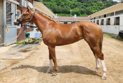 �ϴ����� ����