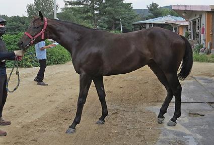 ����� ����