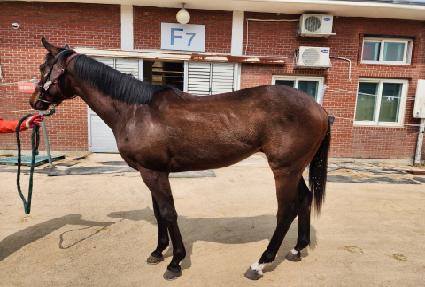 ũ���ֽÿ��� ����