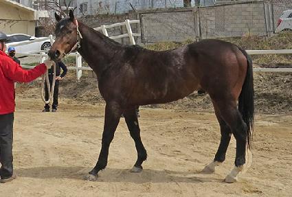 û���� ����