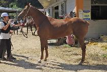 �ʸ������ؼ� (NEOMANEULWIHAESEO) ����