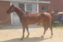 ���ͳ��� (SEOGWI NALGAE) ����