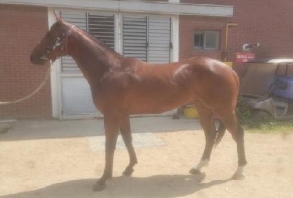 ���ͳ��� ����