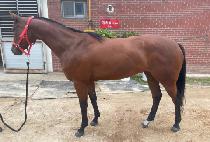 ����Ʈ������ (SMART SMILE) ����