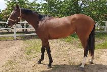 ���������� (BLISS MARINE) ����