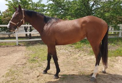 ���������� ����