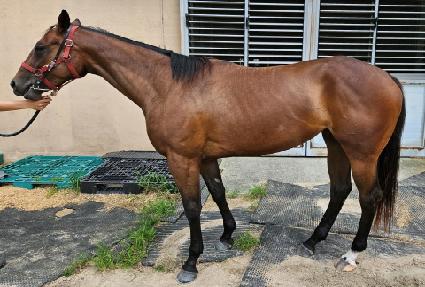 �׸��ö��� ����