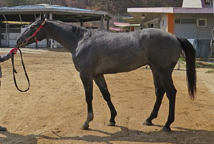 ȭ���ȯ ����