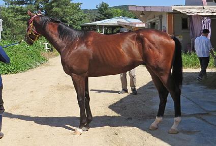 �����巡�� ����