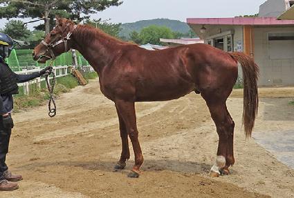 �����巡�� ����