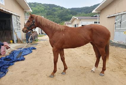 ��Ÿ��ƽ�޸� ����