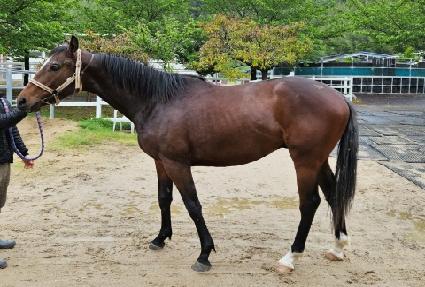 ���ī�캸�� ����