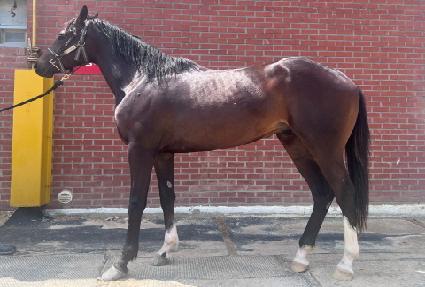 �������۽�Ʈ ����