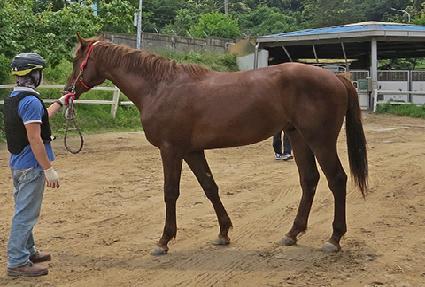 �������� ����