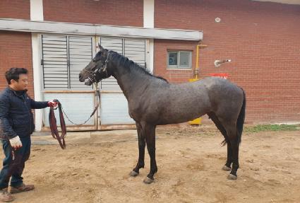 ������������ ����