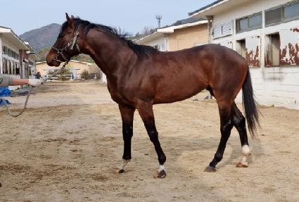 ��ī������ ����