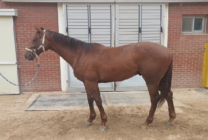 ���������� ����