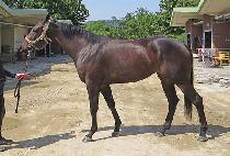 �������� (GOOD FIGHTER) ����