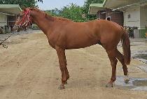 ������Ʈ�� (EUNPA PARTNER) ����