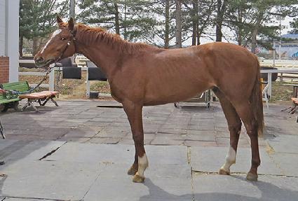 ����� ����