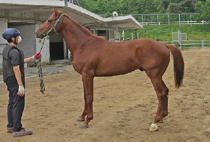 �ݾǸ��� ����