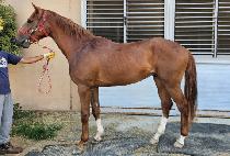 �ٶ������̽� (BARAMUI CHOICE) ����