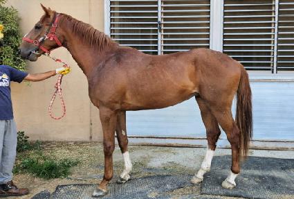 �ٶ������̽� ����