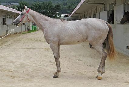 �Ļ��� ����