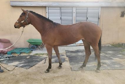 �����̵� ����