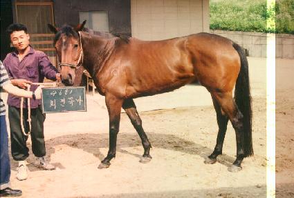 ȸ���� ����