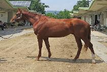 ť�ǵ��� (CUPID MORNING) ����