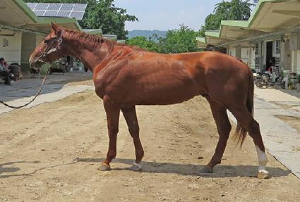 ť�ǵ��� ����