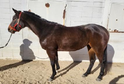 �������丮 ����