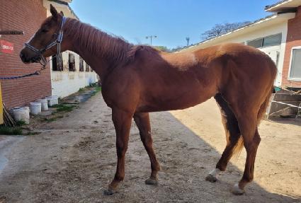 ���͸�ġ ����