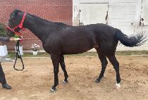 ��Ű (VICKY) ����