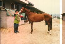 ����ġ (SE MA CHI) ����