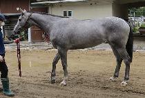 ���깮�� (LOVE MUNMAK) ����