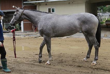 ���깮�� ����