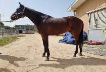 ���� (WIN WIN) ����