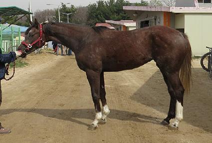 ���ǿ��� ����