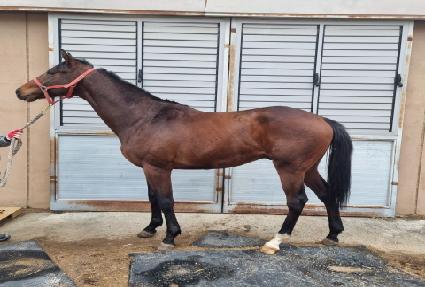 ��ŷ�� ����