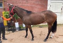 ���κ���ε� (RAINBOW ROAD) ����