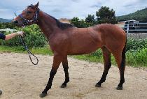 �׹����� (NEVER GIVE UP) ����