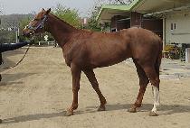 �̶�Ŭ�Ѱ� (MIRACLE HANGANG) ����